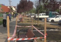 Új padok és frissen ültetett facsemeték a Rákóczi úton