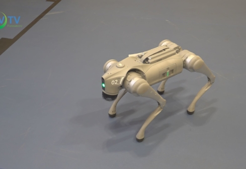 Robotkutya a REZSI-ben