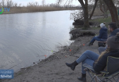 A MOHOSZ végzi január 1-től a halgazdálkodást a Tisza-tavon