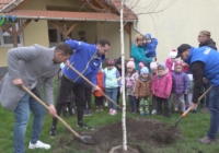 Hetven díszfát ültettek el városszerte
