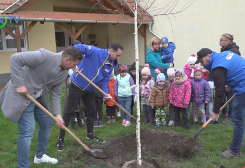 Hetven díszfát ültettek el városszerte