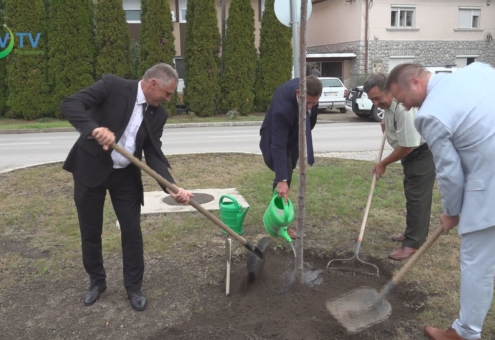 Átadták a Füzesabony legvirágosabb portája díjakat