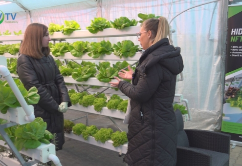 Hidropóniás mintagazdaság Makláron