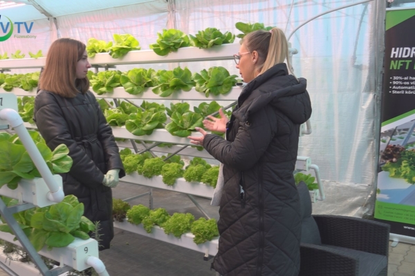 Hidropóniás mintagazdaság Makláron