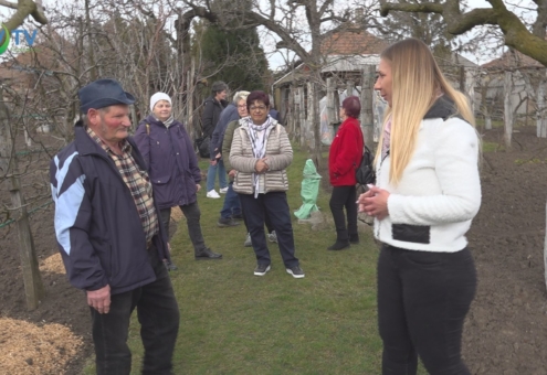 Metszési kisokos Rózsavölgyi Mihállyal