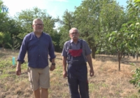 A természet szeretete