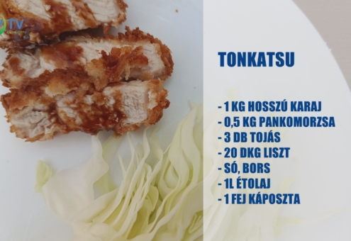 VTV konyhája: Így készül a tonkatsu